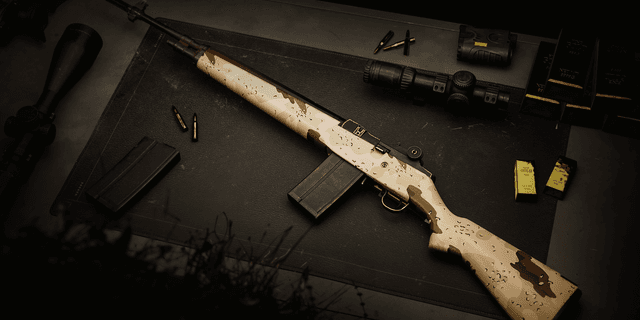Chocolate Chip M14