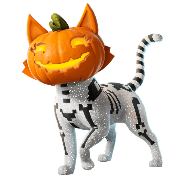 Jack-O'-Cat